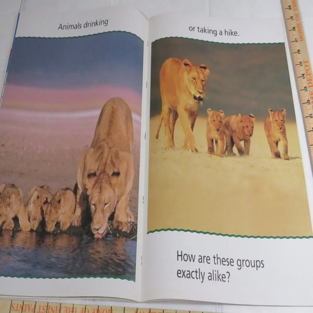 Sort It Out BIG BOOK (almost 2 feet tall) with teacher pages CLASSROOM SIZE